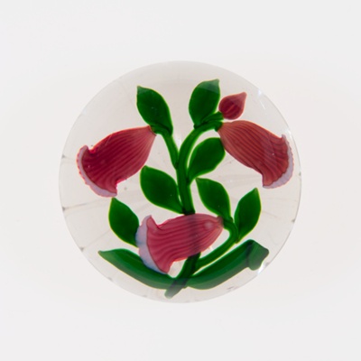 Paperweight