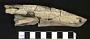 Pappichthys sclerops Cope