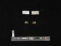 Parreysia gowhattensis