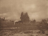Pasadena Landscape