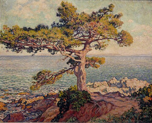 Paysage du Midi
