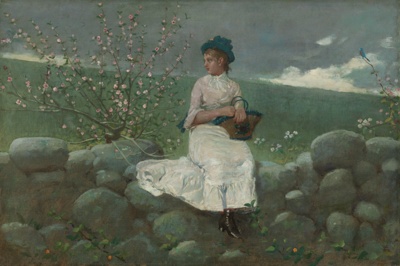 Peach Blossoms