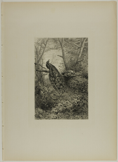 Peacocks on a Bough