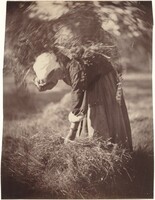 Peasant
