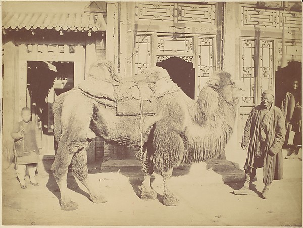 Pekin. No. 923