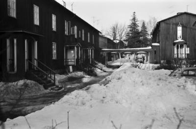 Pellervontie