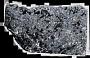 Peridotite