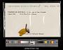 Perithemis domitia