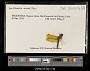 Perithemis mooma