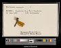 Perithemis seminole