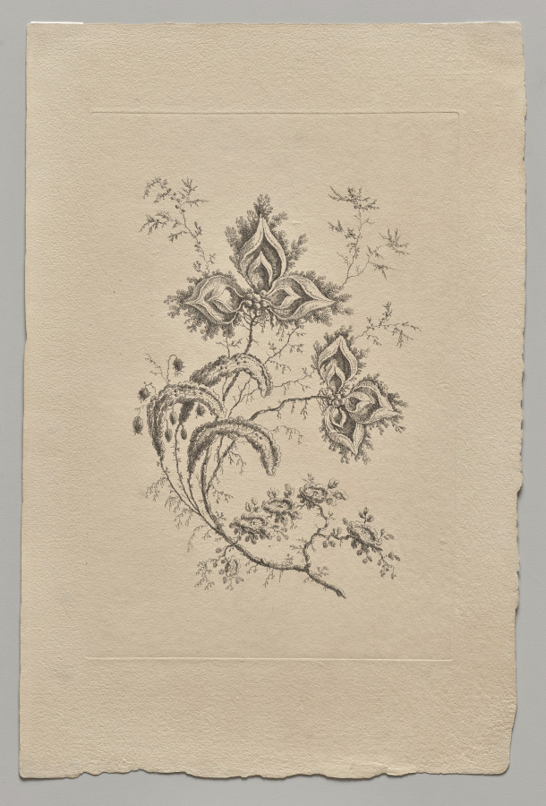 Persian Flowers