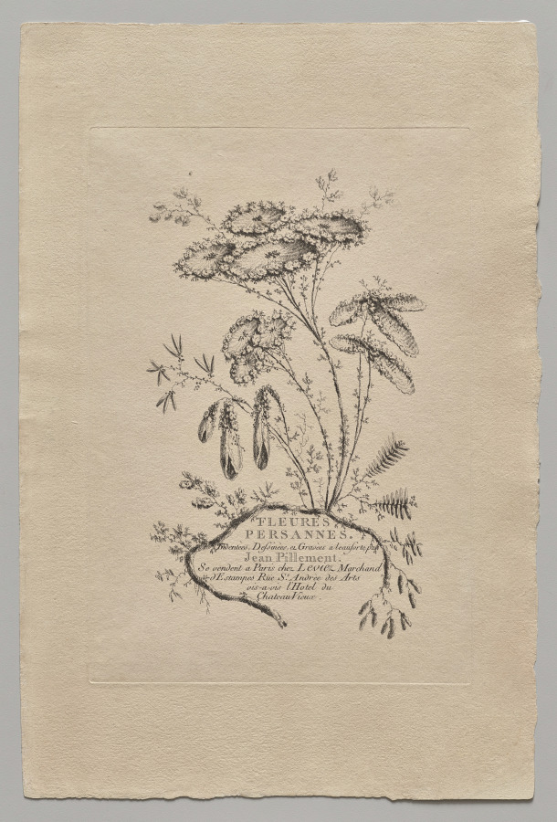Persian Flowers