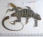Petrosaurus thalassinus