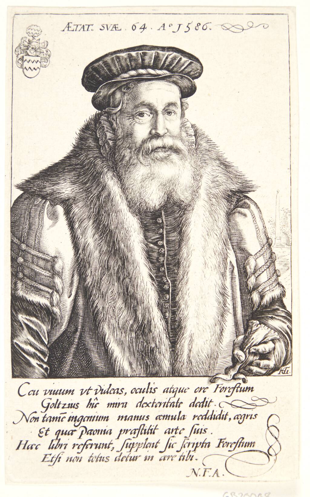 Petrus Forestus