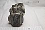 Phlogopite