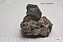 Phlogopite