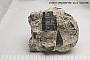 Phlogopite