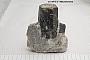 Phlogopite