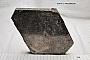 Phlogopite