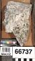 Phosphate rock
