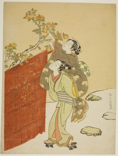 Picking Persimmons