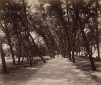 Picnic Grounds