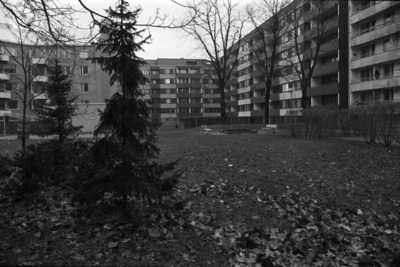 Pietarinkatu 6