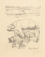 Pigs