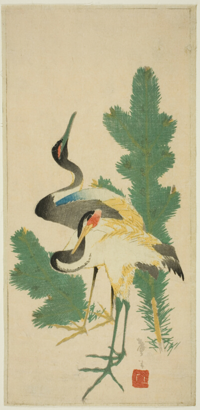 Pine and cranes