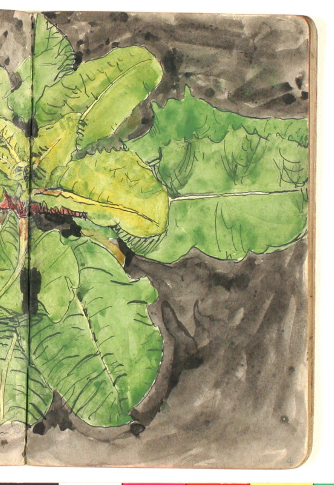 Plantestudie