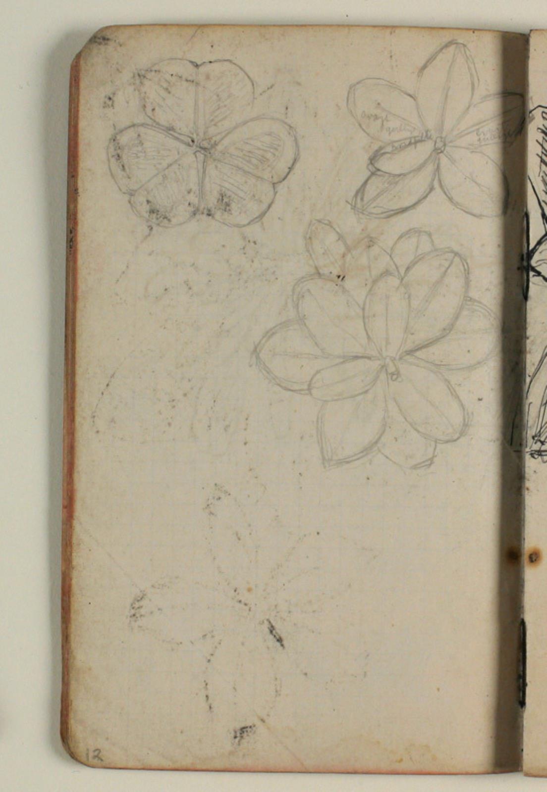 Plantestudier