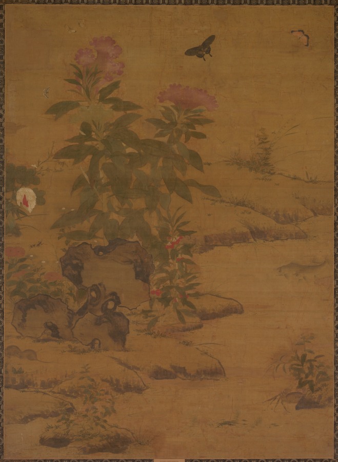 Plants and Insects