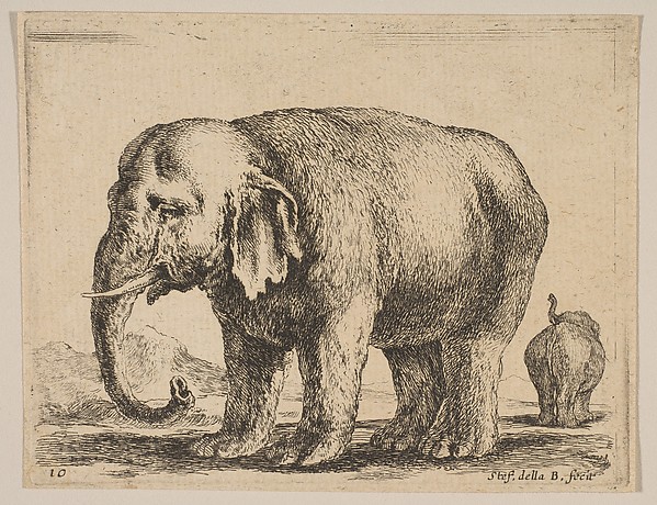 Plate 10: Elephant, from "Various animals" (Diversi animali)
