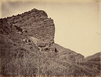 Plate 38. Rock Great Eastern