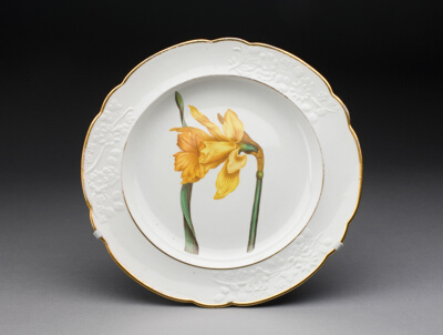 Plate