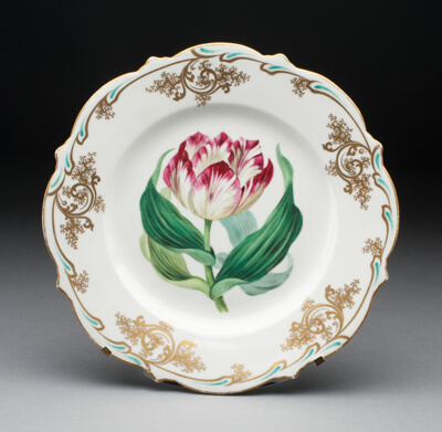 Plate