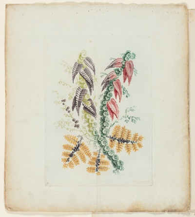 Plate, from New Suite of Notebooks of Ideal Flowers for Use by Draftsmen and Painters