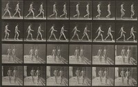Plate Number 12. Walking