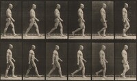 Plate Number 6. Walking