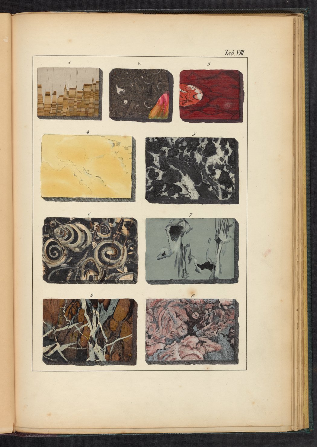 Plate VIII: Marbles