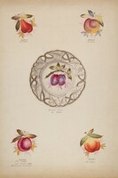 Plates