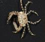 Pleocyemata