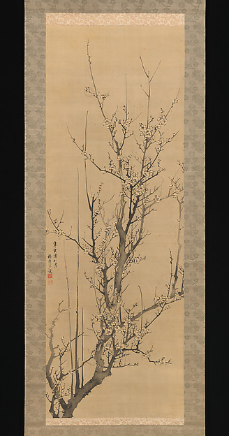Plum Blossoms