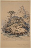 Point Lobos, California