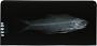 Polydactylus plebeius