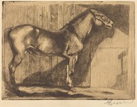 Pony (Le poney)