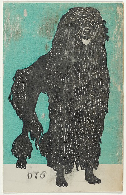 Poodle