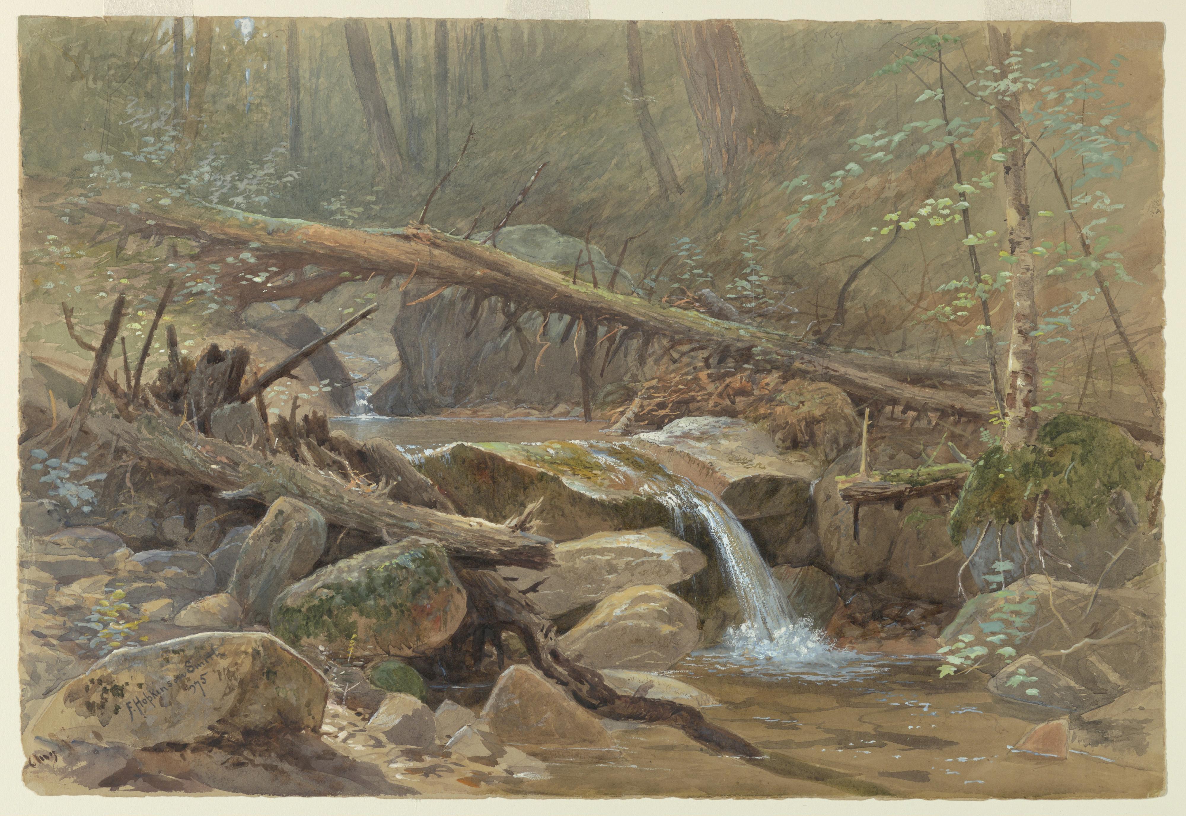 Pool in the Woods