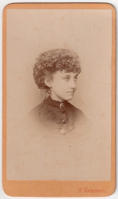Portret gospođe