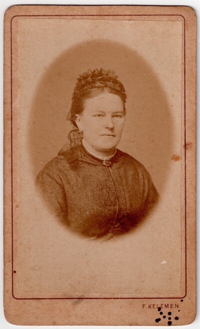 Portret gospođe